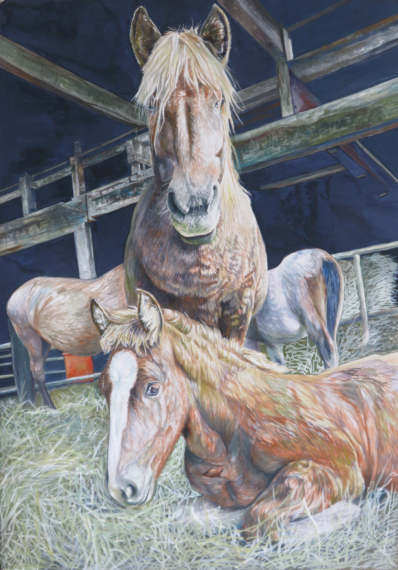 第30回馬の絵作品展 | 神田日勝記念美術館公式ホームページ